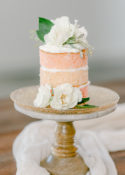 small ombre naked wedding cake